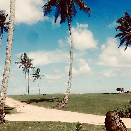 Dorian Guest House And Restaurant Weligama Buitenkant foto