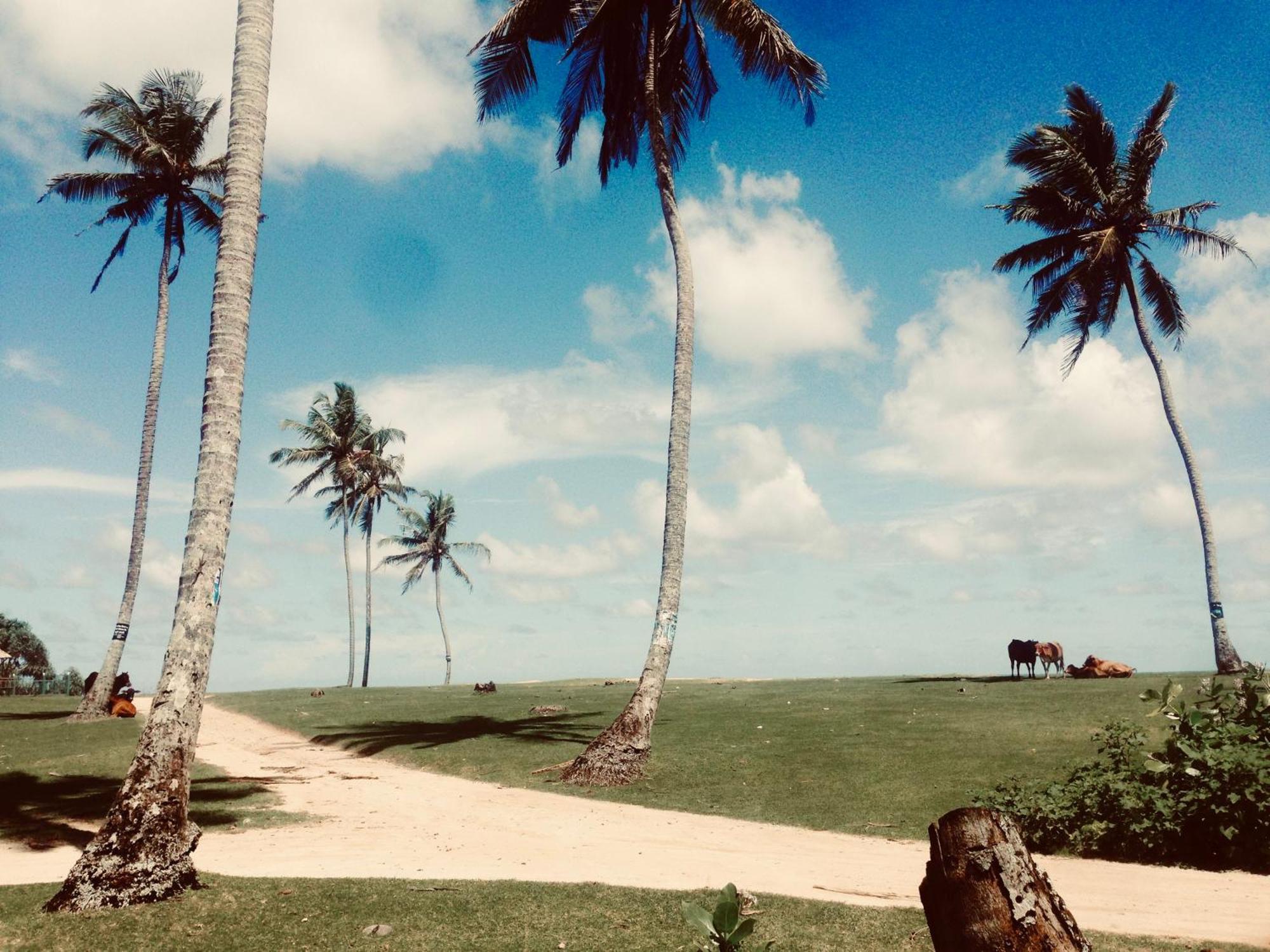 Dorian Guest House And Restaurant Weligama Buitenkant foto